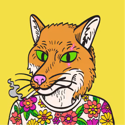 WTFoxes #3856