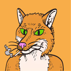 WTFoxes #991