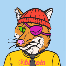 WTFoxes #2247