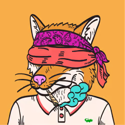 WTFoxes #3550