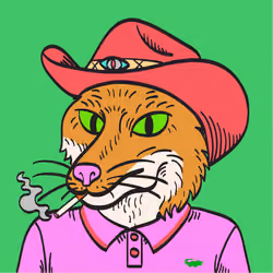 WTFoxes #218
