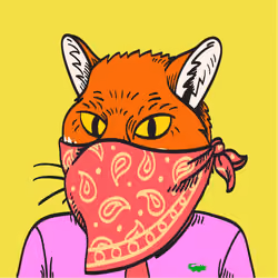 WTFoxes #1756