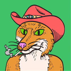 WTFoxes #3304
