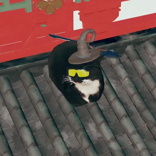 Maxwell The Cat