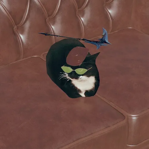 Maxwell The Cat