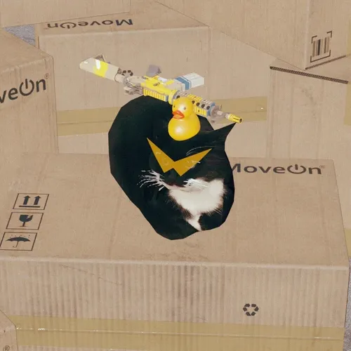 Maxwell The Cat