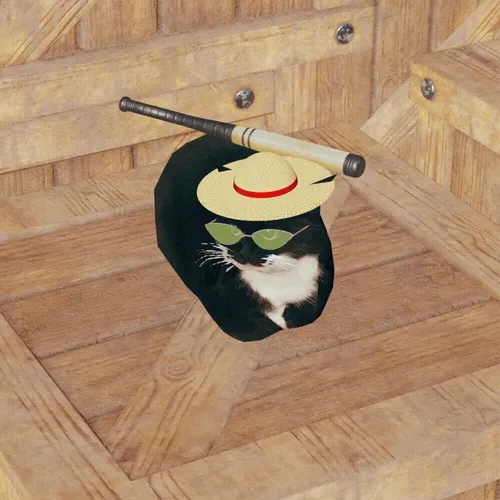 Maxwell The Cat