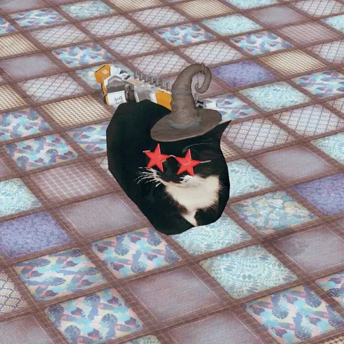 Maxwell The Cat
