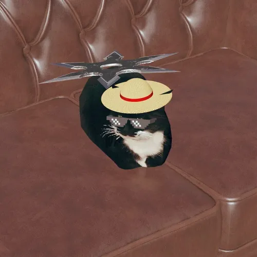 Maxwell The Cat