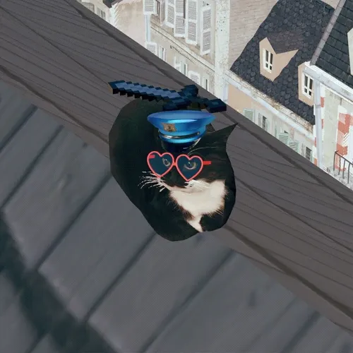 Maxwell The Cat