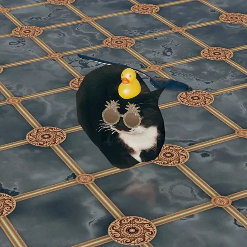 Maxwell The Cat