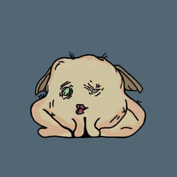1611