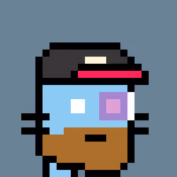 Cool Punk Cat #928