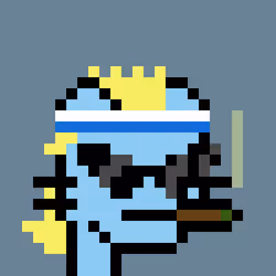 Cool Punk Cat #844