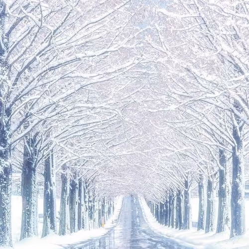 Unidentified contract - kWr2xwmW0a