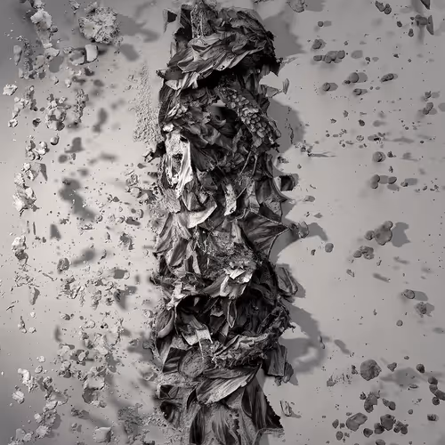 Slipstream 001 By Nancy Baker Cahill