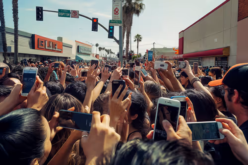 Item #1034478026 Media