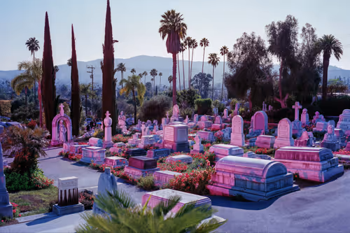 Item #276293807 Media