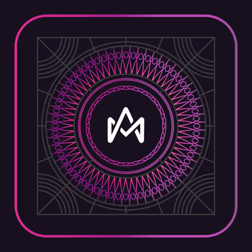 Autominter Pro Pass