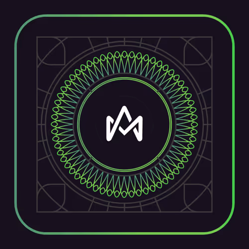 Item #172 Media