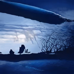 cold winter night