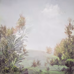 sugar cane field