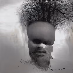 the singularity is near