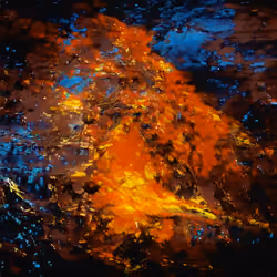 fire in a rain storm