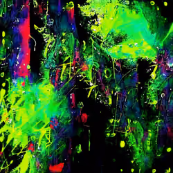 neon kingdom