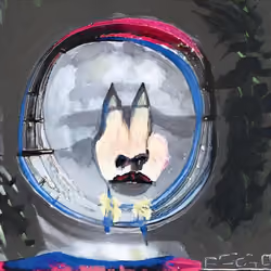 rocket to the moon