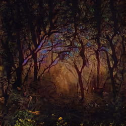 the enchanted wood