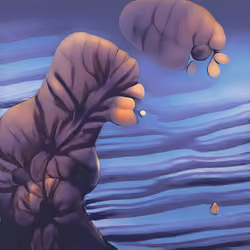 whale clouds