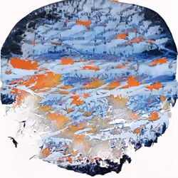 moon or ngmi