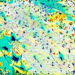 bitcoin: a peer-to-peer electronic cash system