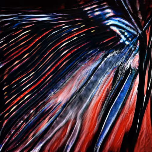 velocity
