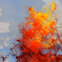 moon on fire