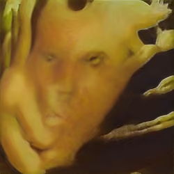 papa pear