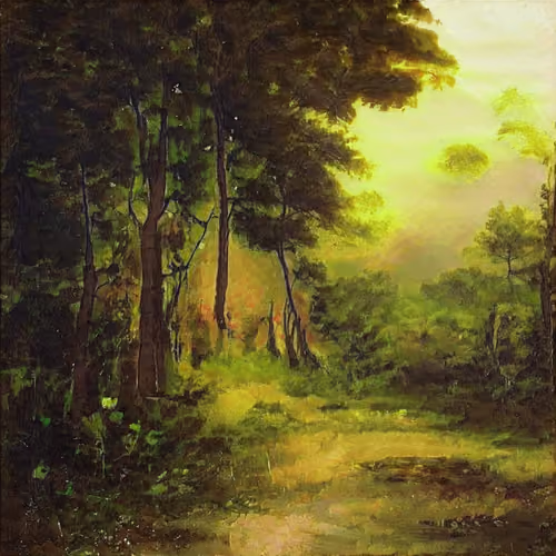 cocreations forest