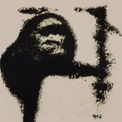 wsk ape