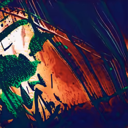 wood