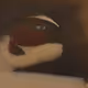 9795