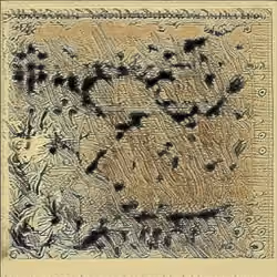 satoshi's seed phrase