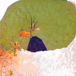 bears are fucked