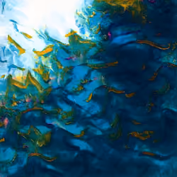 under the sea