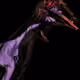 3630