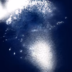 10k generative project