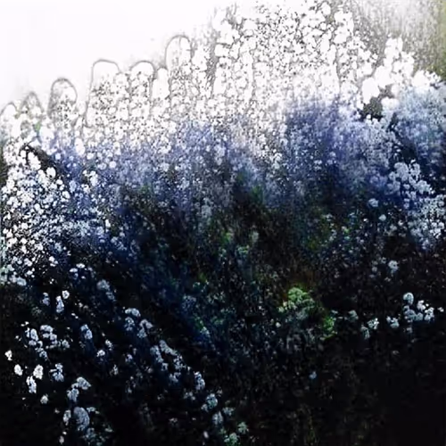 lavender mist