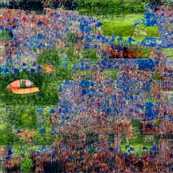 fragments of an infinite field
