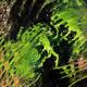 spiral 