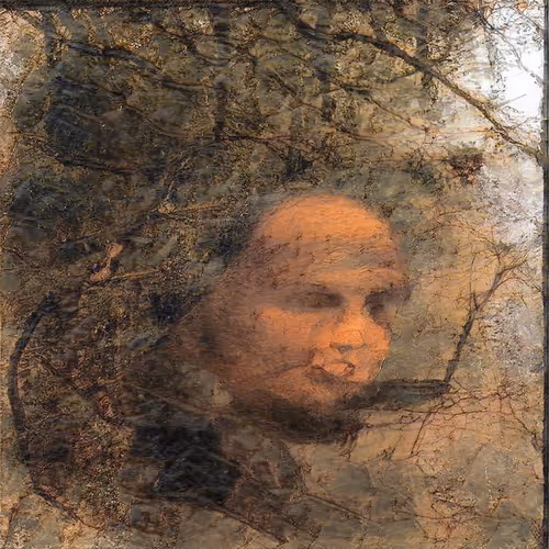 leonardo da vinci